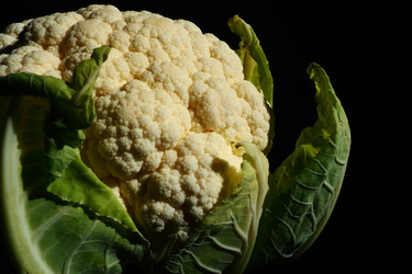 Similar image 21416929