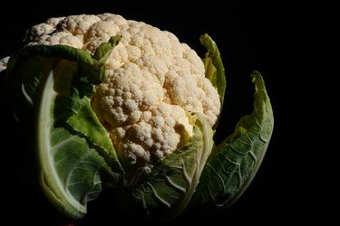 Similar image 21416930