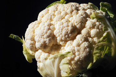 Similar image 21417296