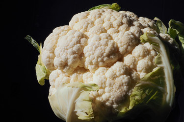 Similar image 21417297