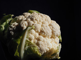 Similar image 21417299