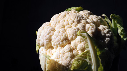 Similar image 21417300