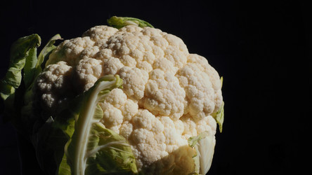 Similar image 21417304