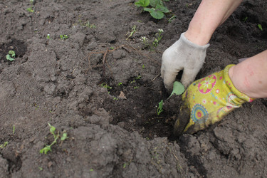 Similar image 21412590