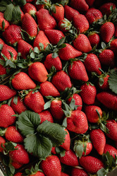 Similar image 21385357