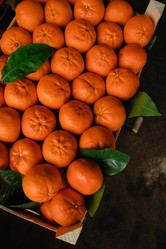 Similar image 21385358