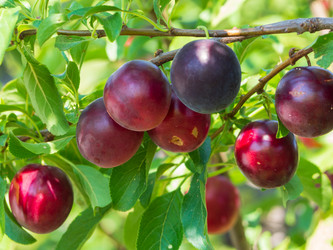 Similar image 21383993