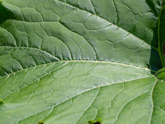 Similar image 21383998