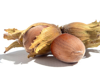 Similar image 21384000