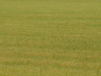 Similar image 21384001