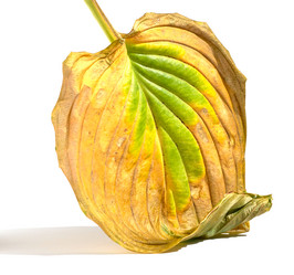 Similar image 21384006