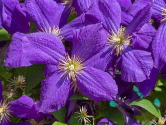 Similar image 21384007