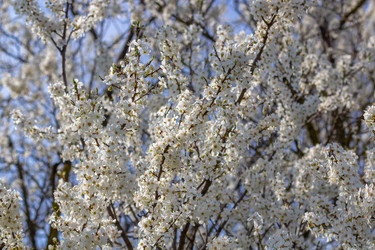 Similar image 21385488