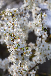 Similar image 21385490