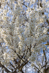 Similar image 21385491