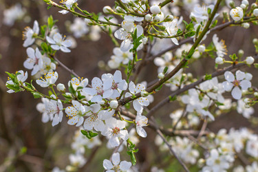 Similar image 21385494