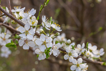 Similar image 21385495