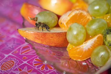 Similar image 21385506