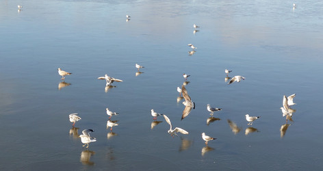 Similar image 21399178