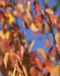 Similar image 21384008