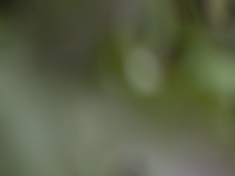 Similar image 21384011