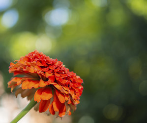 Similar image 21384016