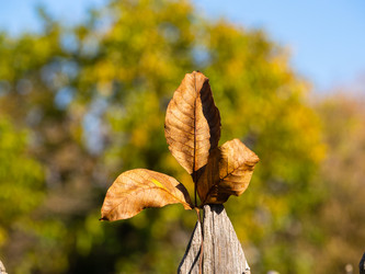 Similar image 21384020