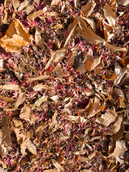 Similar image 21382663