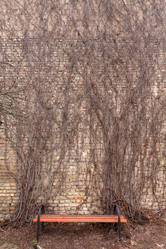 Similar image 21385361
