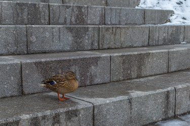 Similar image 21385520