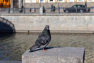 Similar image 21385523