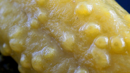 Similar image 21399905