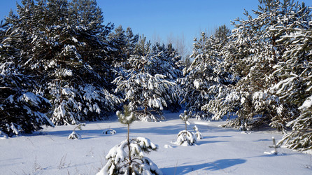 Similar image 21399907