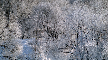 Similar image 21399911