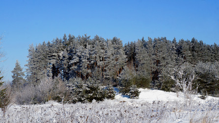 Similar image 21399915