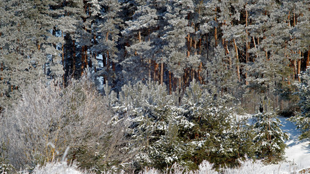 Similar image 21399916