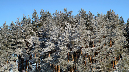 Similar image 21399917