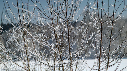 Similar image 21399918