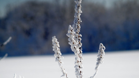 Similar image 21399919