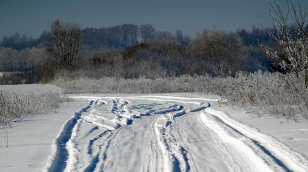 Similar image 21399920