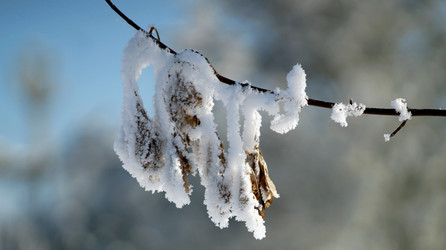 Similar image 21399922