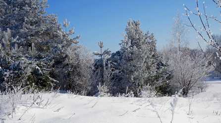 Similar image 21399923