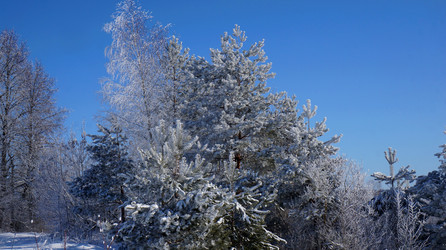 Similar image 21399924