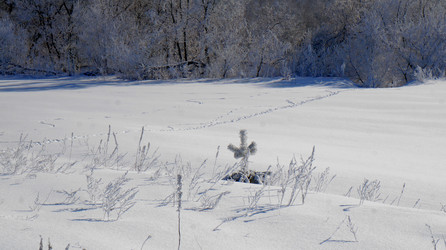 Similar image 21399925