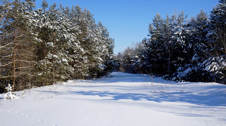 Similar image 21399927