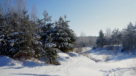 Similar image 21399928