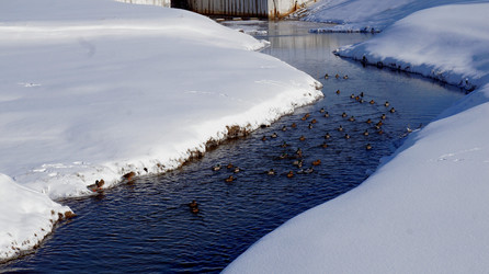 Similar image 21399929