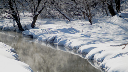 Similar image 21399930