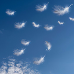 Similar image 21404375