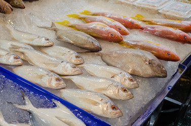 Similar image 21385525